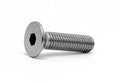 SCHRAUBE M8x25 mm Scout